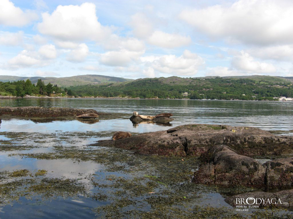 Glengarriff
